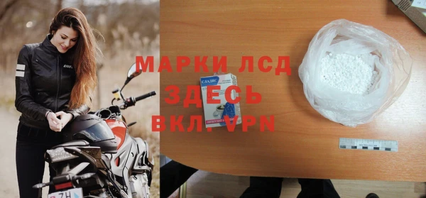 стафф Вязьма
