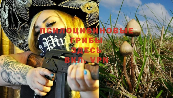 PSILOCYBIN Волоколамск