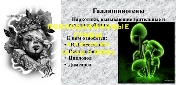 стафф Вязьма